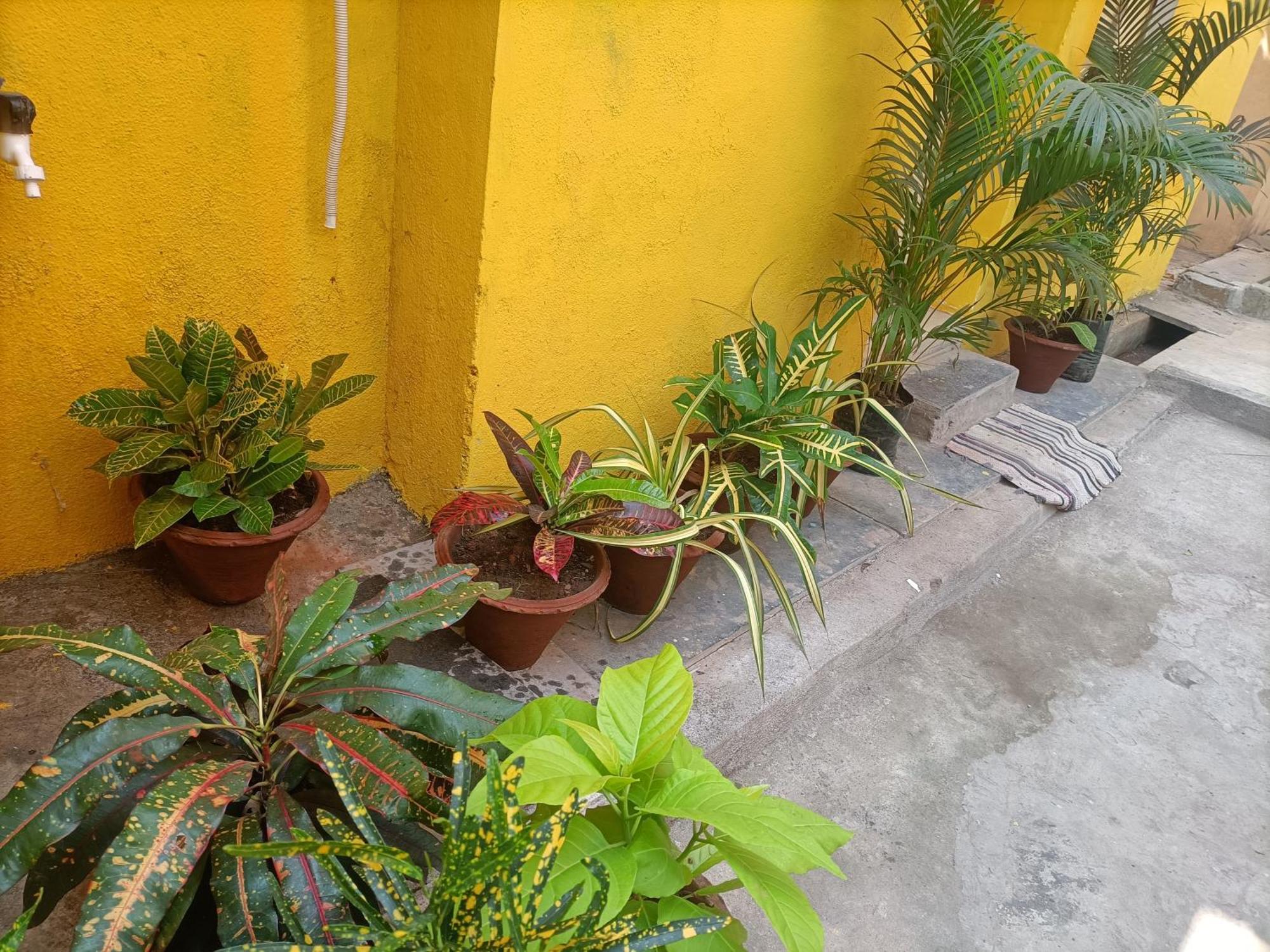 Nks Homestay Puducherry Exterior foto